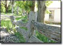 Micalago Station - copyright Capital Garden